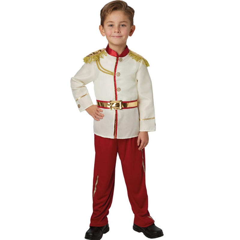 Costume charmant prince prince Prince Habille Costume de tenue de prince royal médiéval pour les enfants pour enfants garçons âgés de 3 à 14 ans